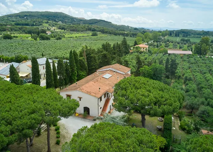 Villa Antichi Palmenti - Rosmarino San Vincenzo