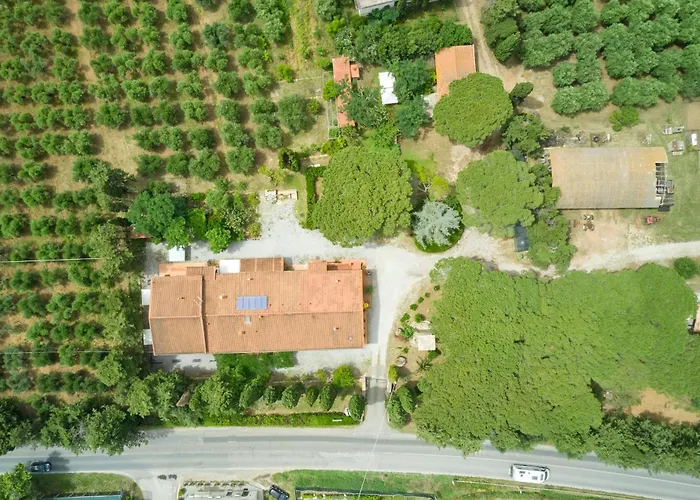 Villa Antichi Palmenti - Rosmarino San Vincenzo